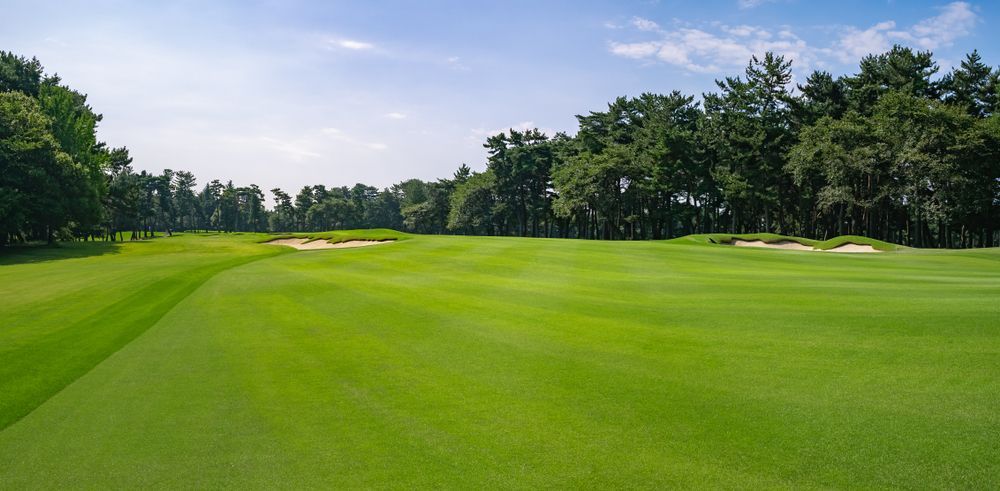 Green Golf Course with Trees Under a Blue Sky — East Coast Hydroseeding in Cooperabung, NSW