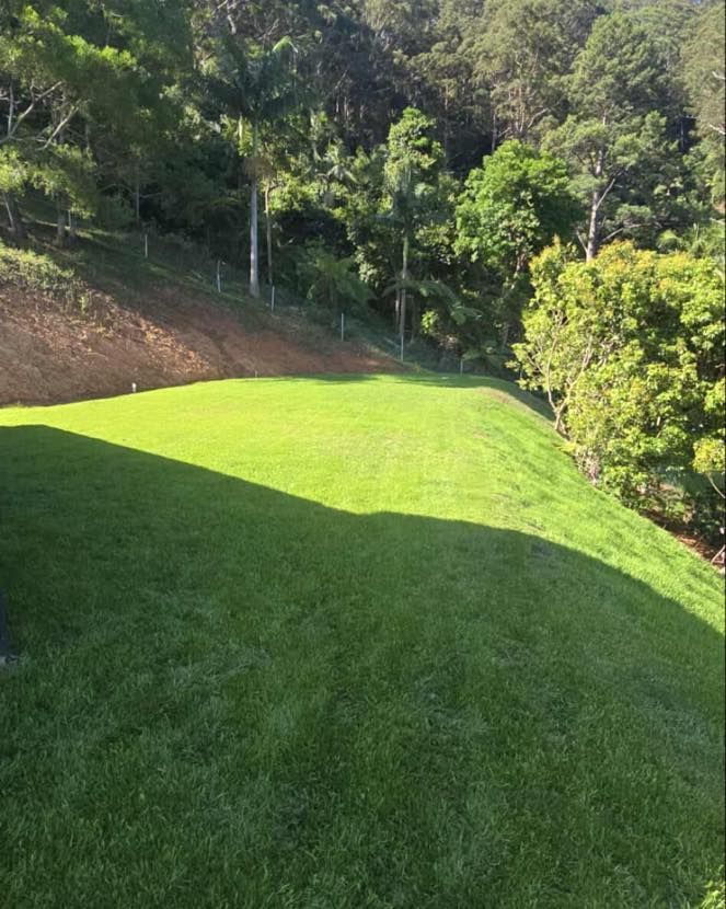 A sunlit, grassy lawn slopes gently upward toward a dense, green forest edge.