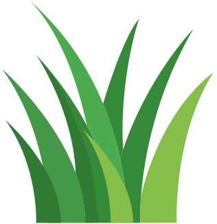 A stylized illustration of a patch of green grass blades against a white background.