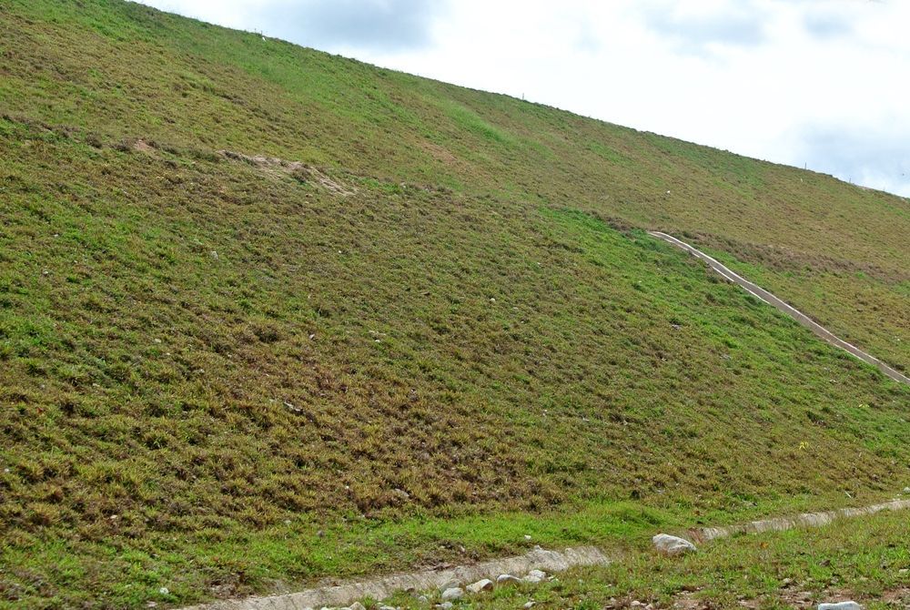 Green Grassy Hillside with A Diagonal Path — East Coast Hydroseeding in Coffs Harbour, NSW