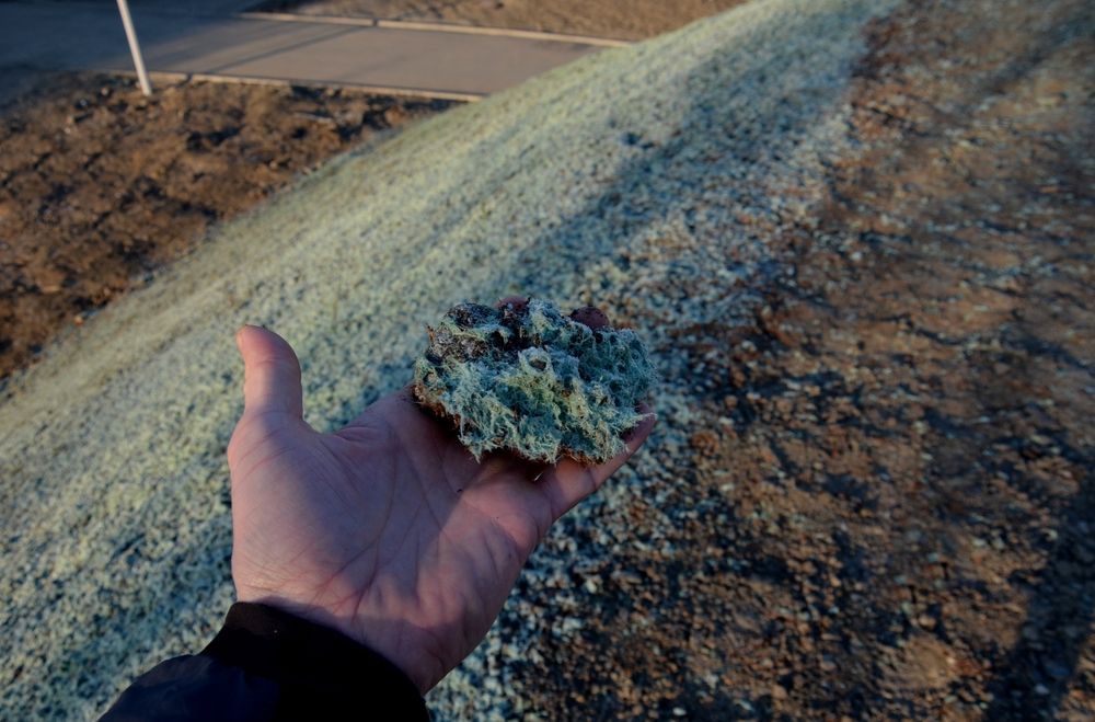 Hand Holding a Clump of Blue-Green Material, Likely Erosion Control — East Coast Hydroseeding in Cooperabung, NSW