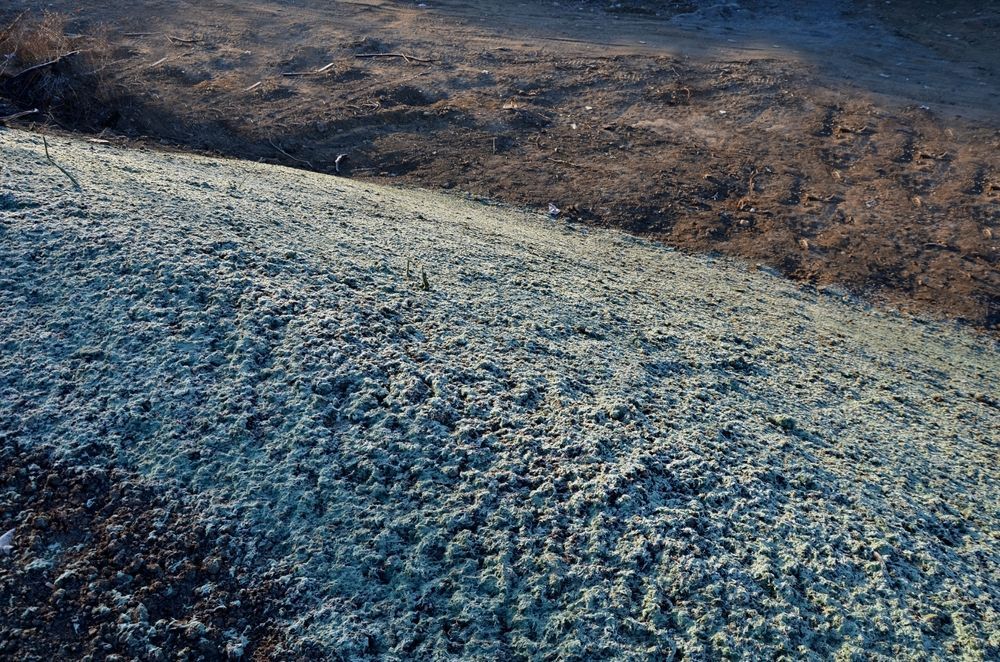 Frost-Covered Ground with A Light Blue-Grey Hue — East Coast Hydroseeding in Cooperabung, NSW