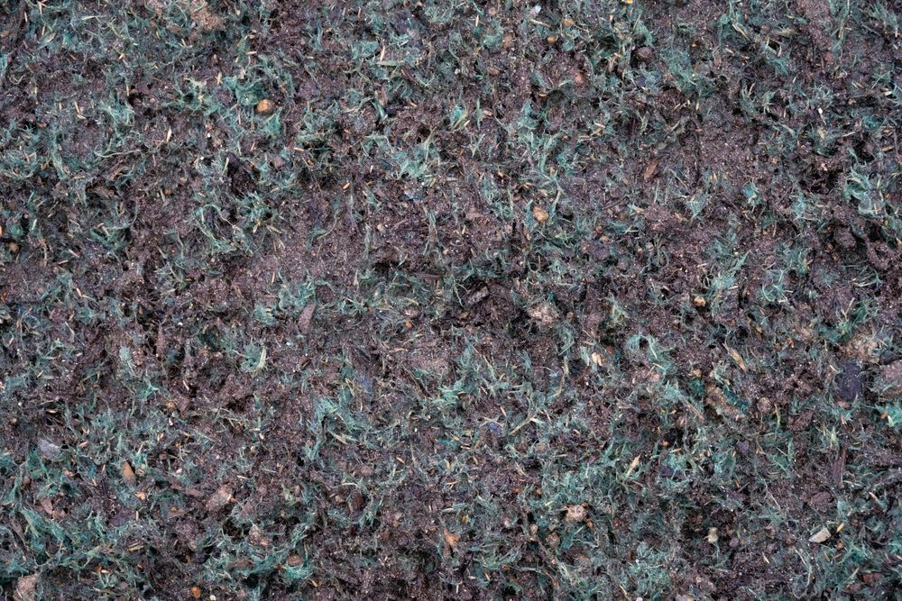 Close-Up of Dark Soil, Mixed with Teal-Colored Mulch or Treatment — East Coast Hydroseeding in Cooperabung, NSW