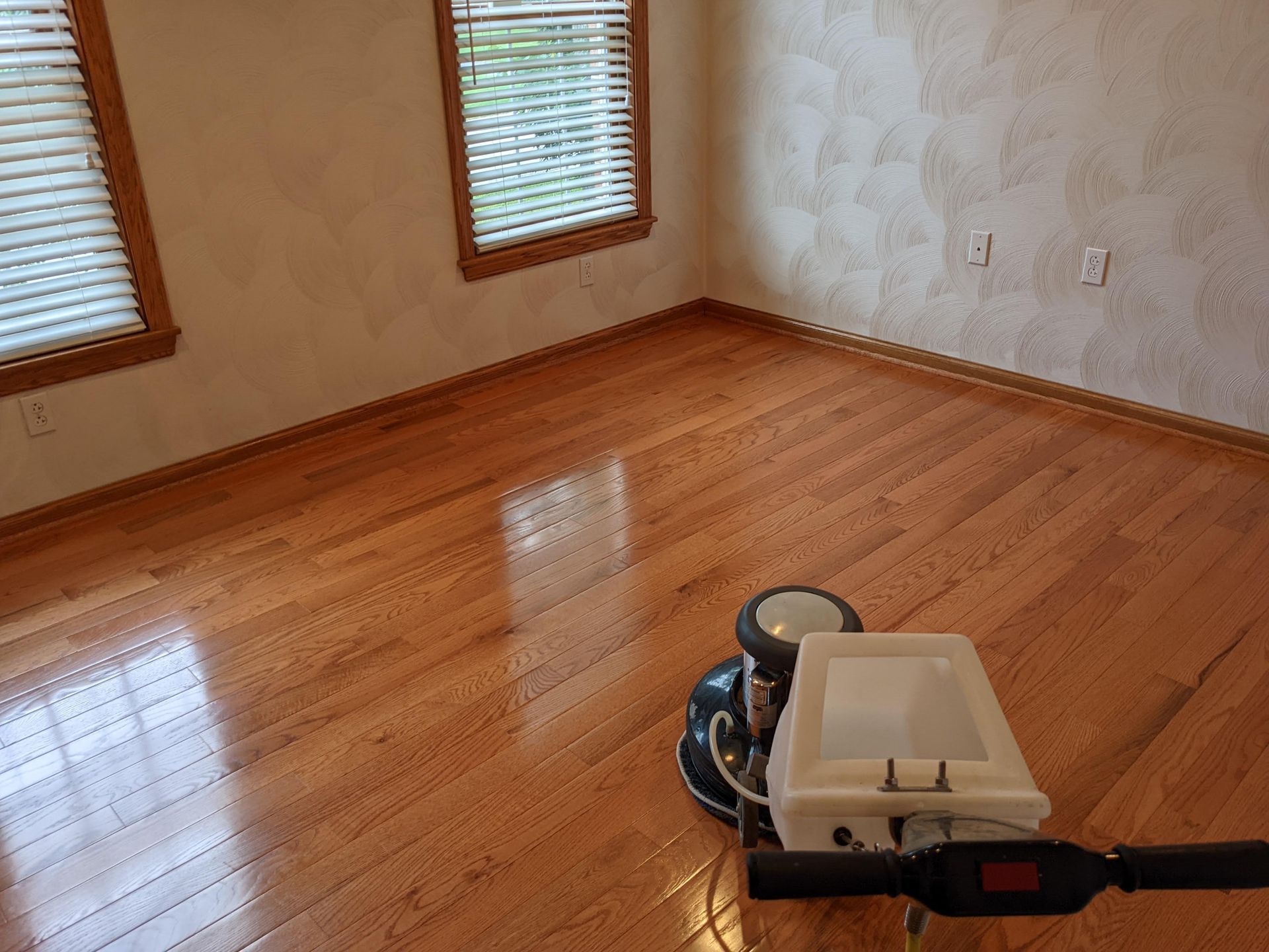 wood floor being cleaned
