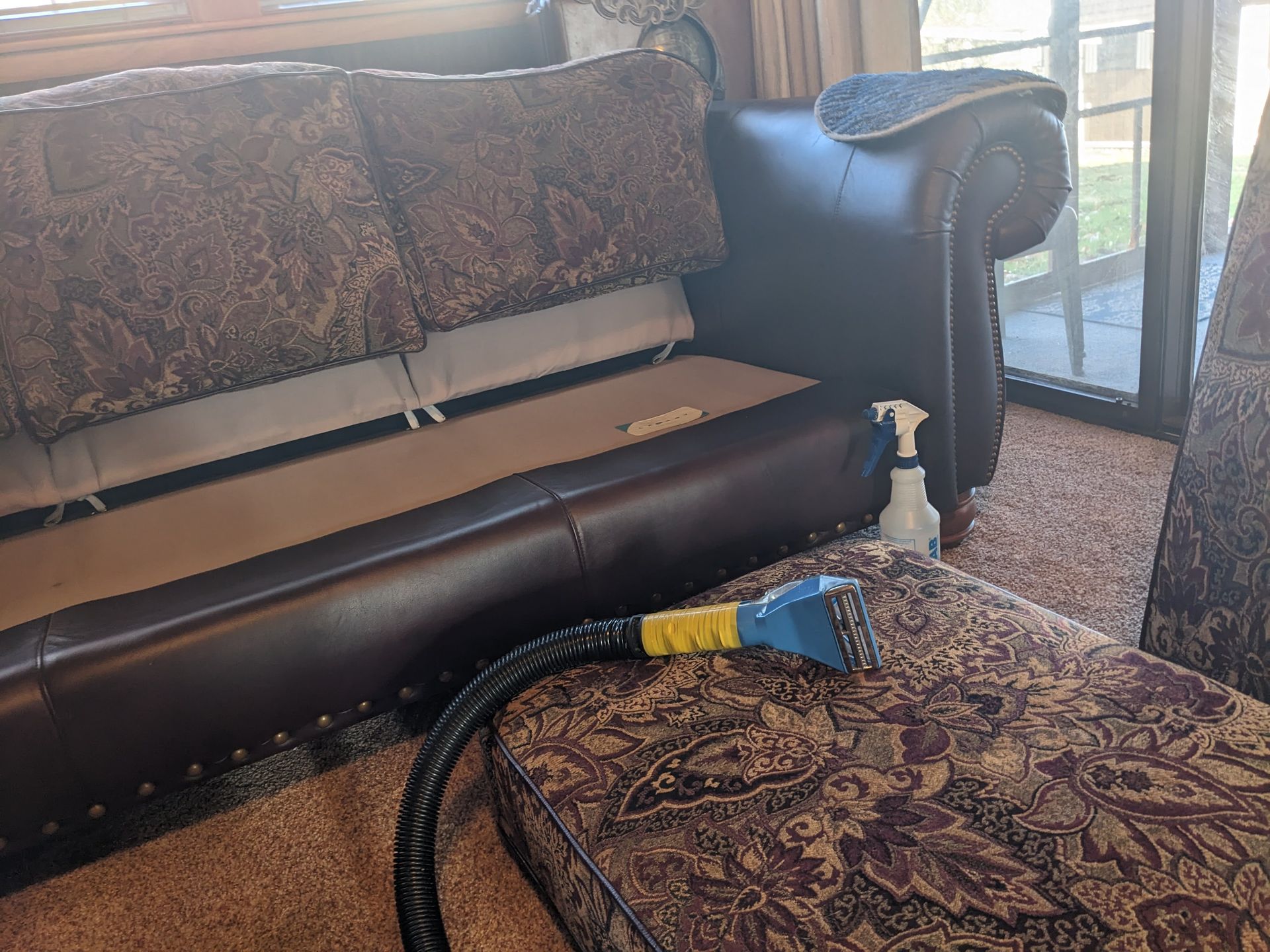 cleaned couch cushions