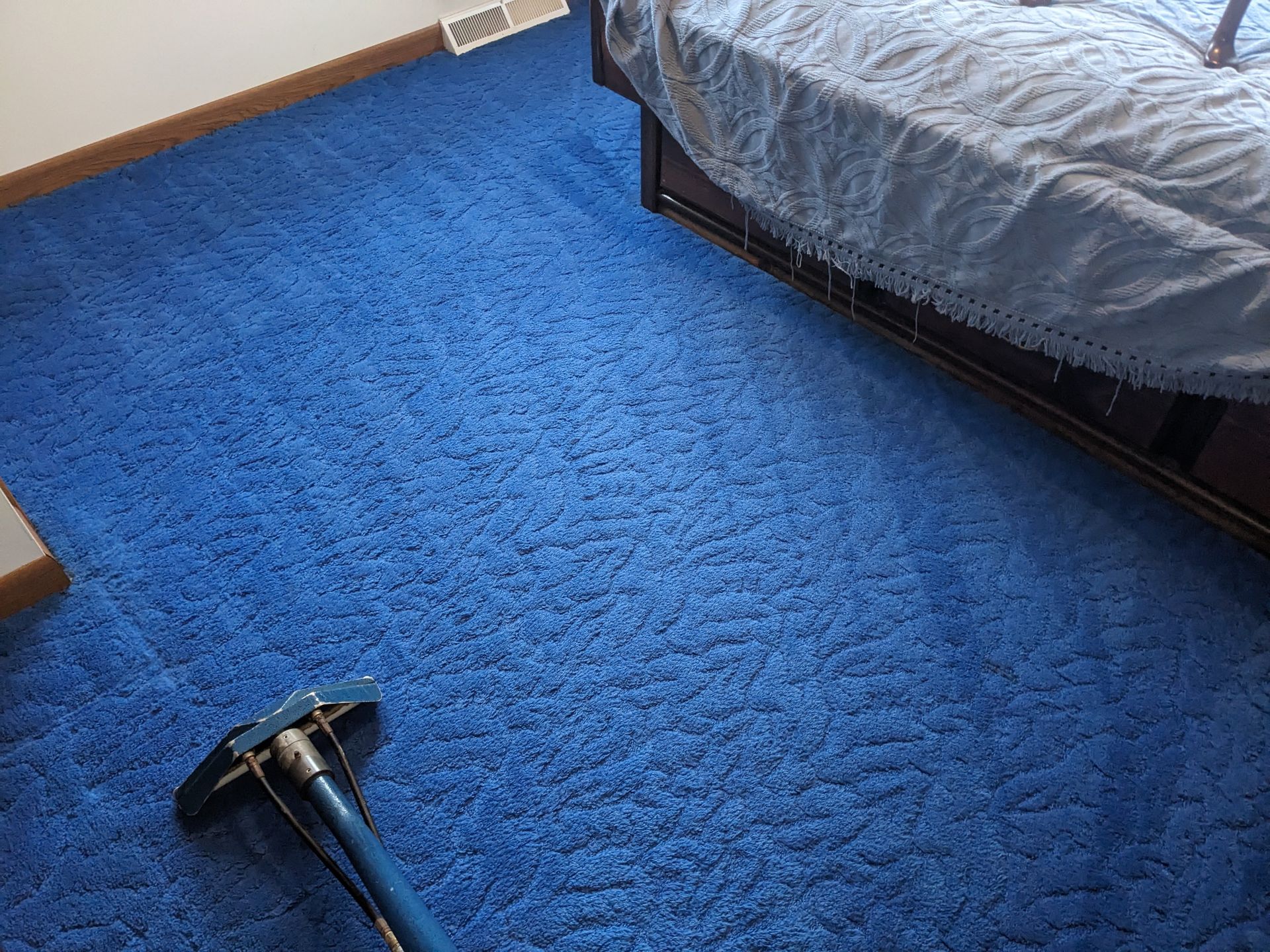 blue cleaned carpet