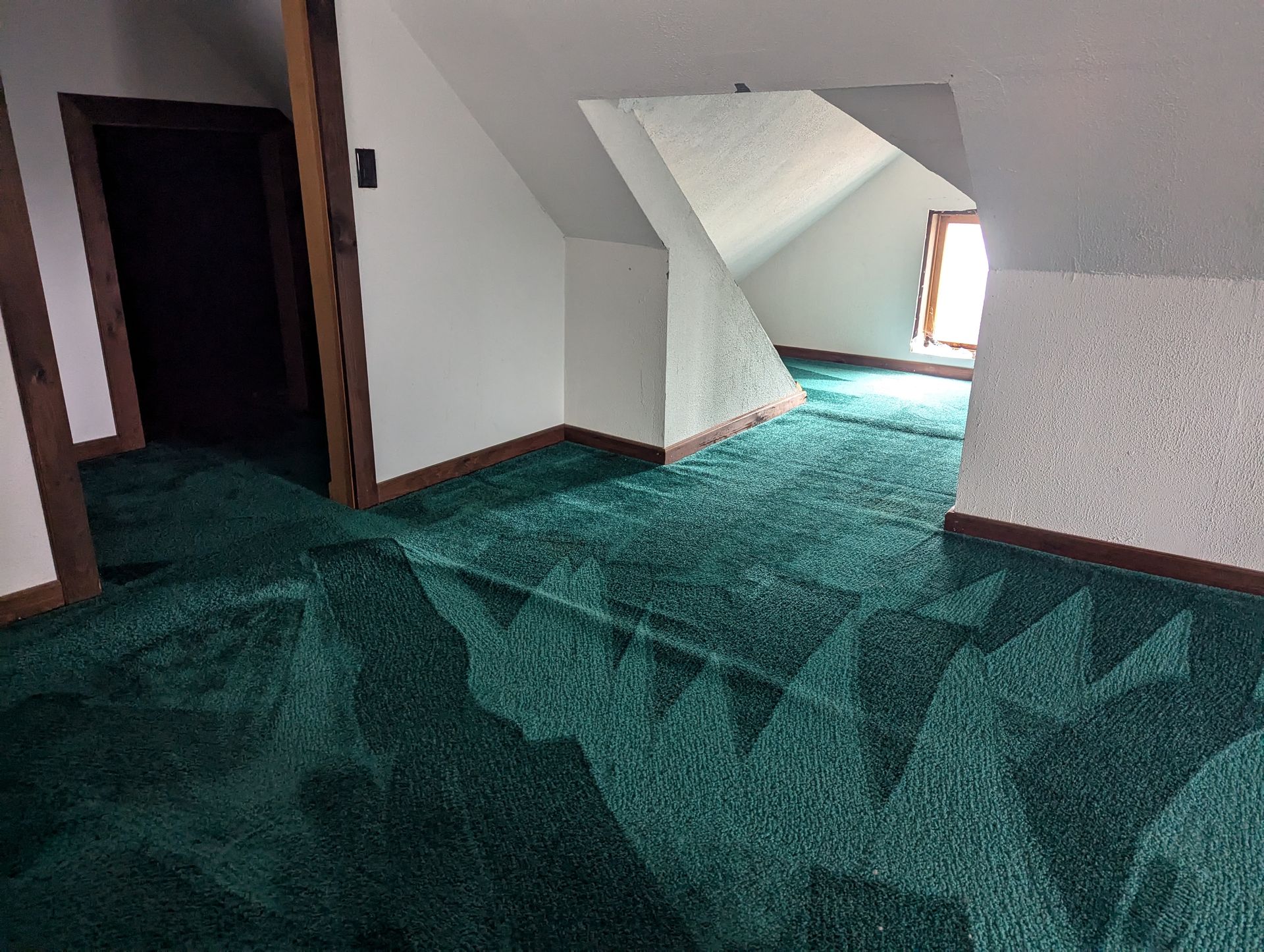 Green attic carpet cleaned