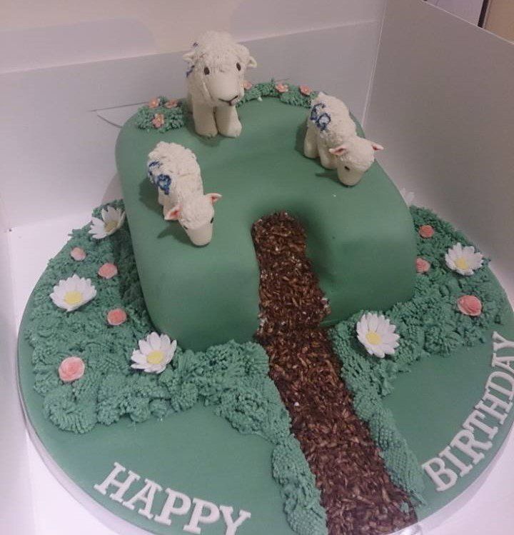lamb birthday cake sheep