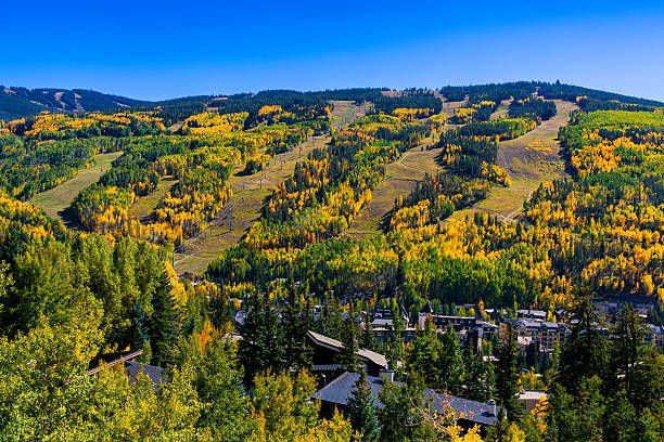 Table scape, navy blue linen napkin, gold napkin ring.
