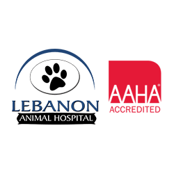 Lebanon Animal Hospital Logo