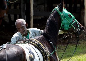   Even though it’s very early in the Illinois season for 2-year-olds, the Patton family has to be al