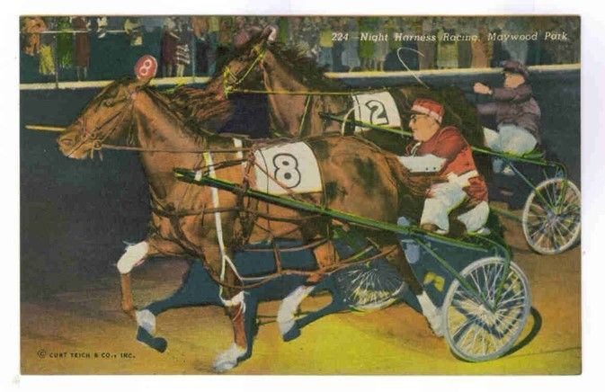 A horse drawn carriage with the number 8 on it