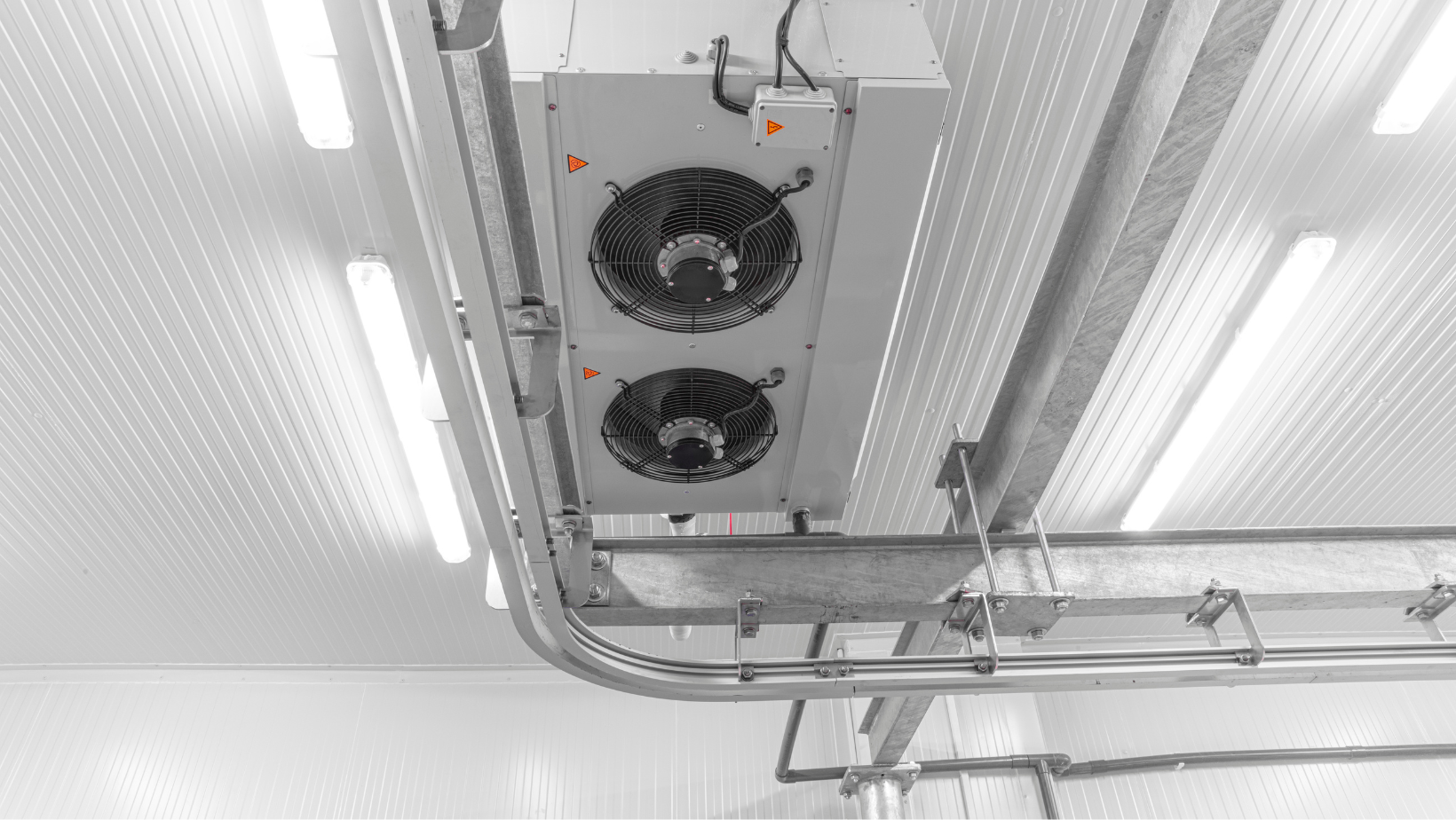 test and balance services