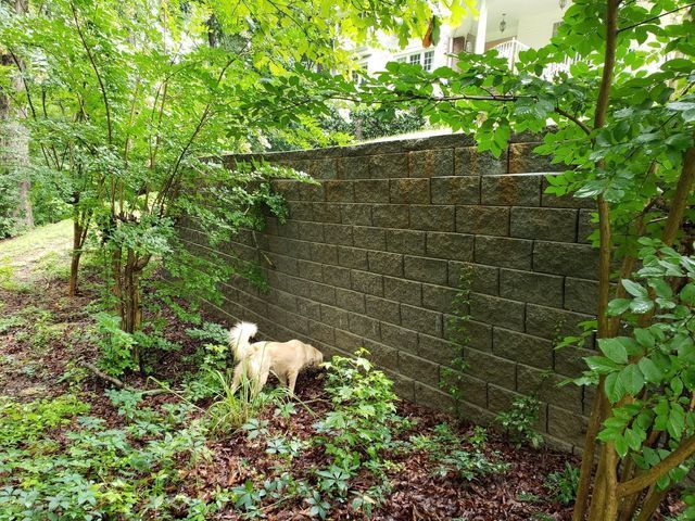 Retaining Wall Installation