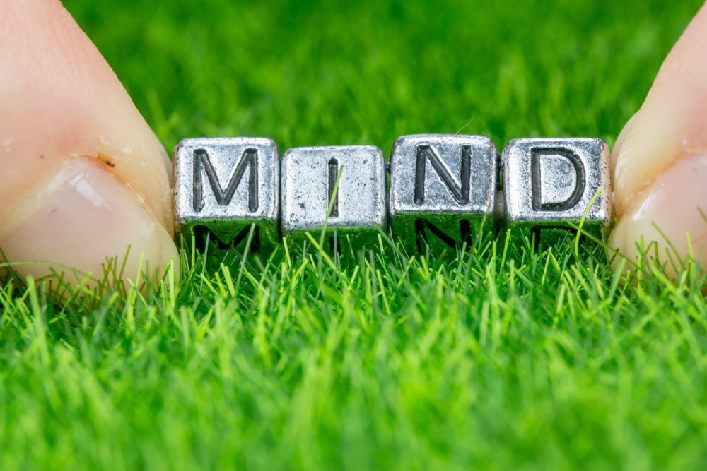 A person is holding the word mind in their hands on top of a lush green field.