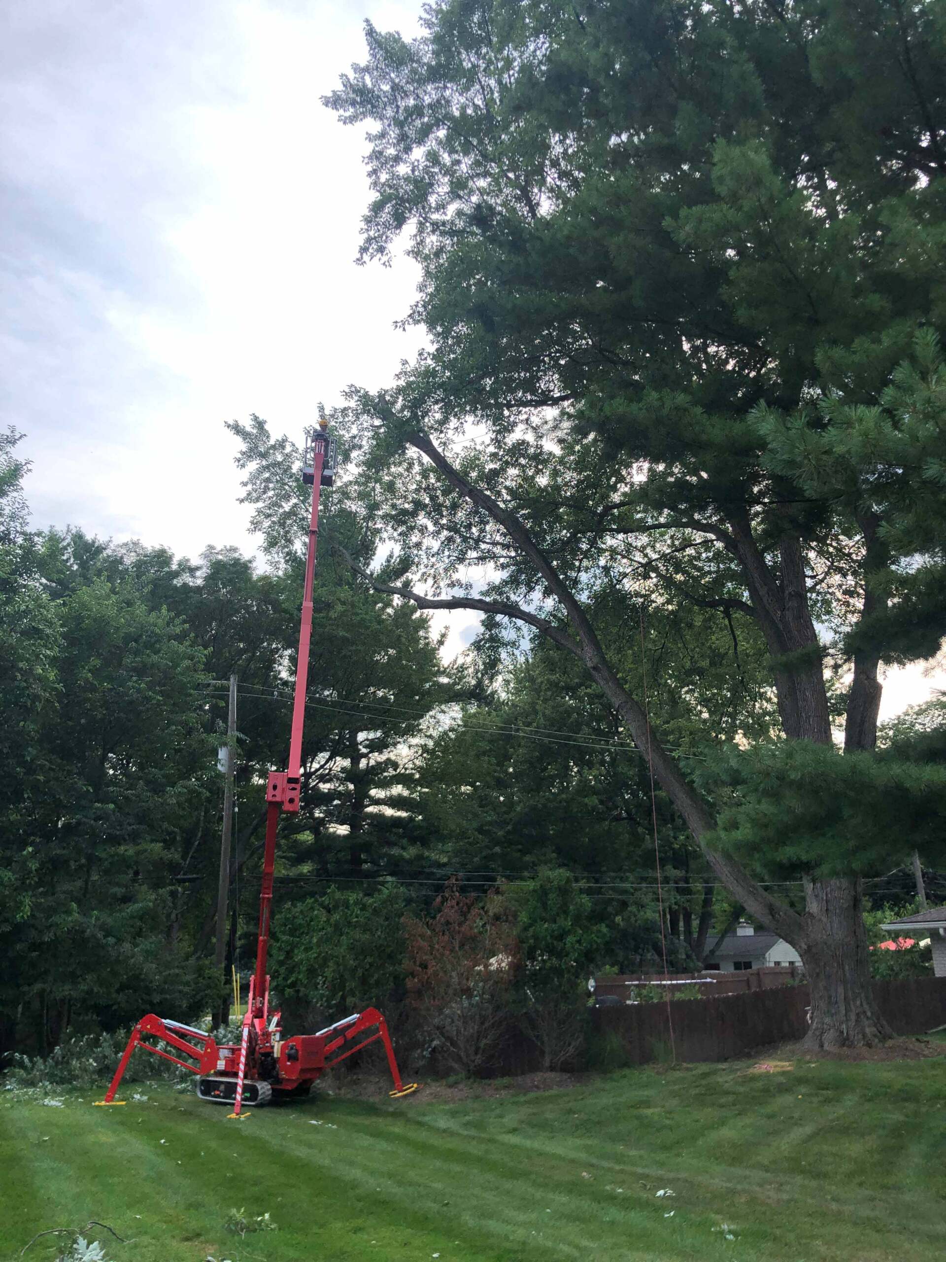 Large Tree Removal — Romeo, MI — AWD Tree Service, Inc.
