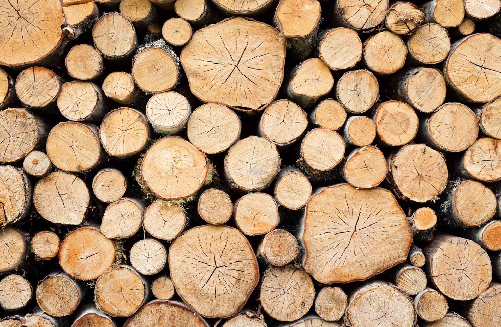 Pile of Wood — Romeo, MI — AWD Tree Service, Inc.