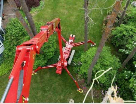 All Access Equipment Crawler — Romeo, MI — AWD Tree Service, Inc.