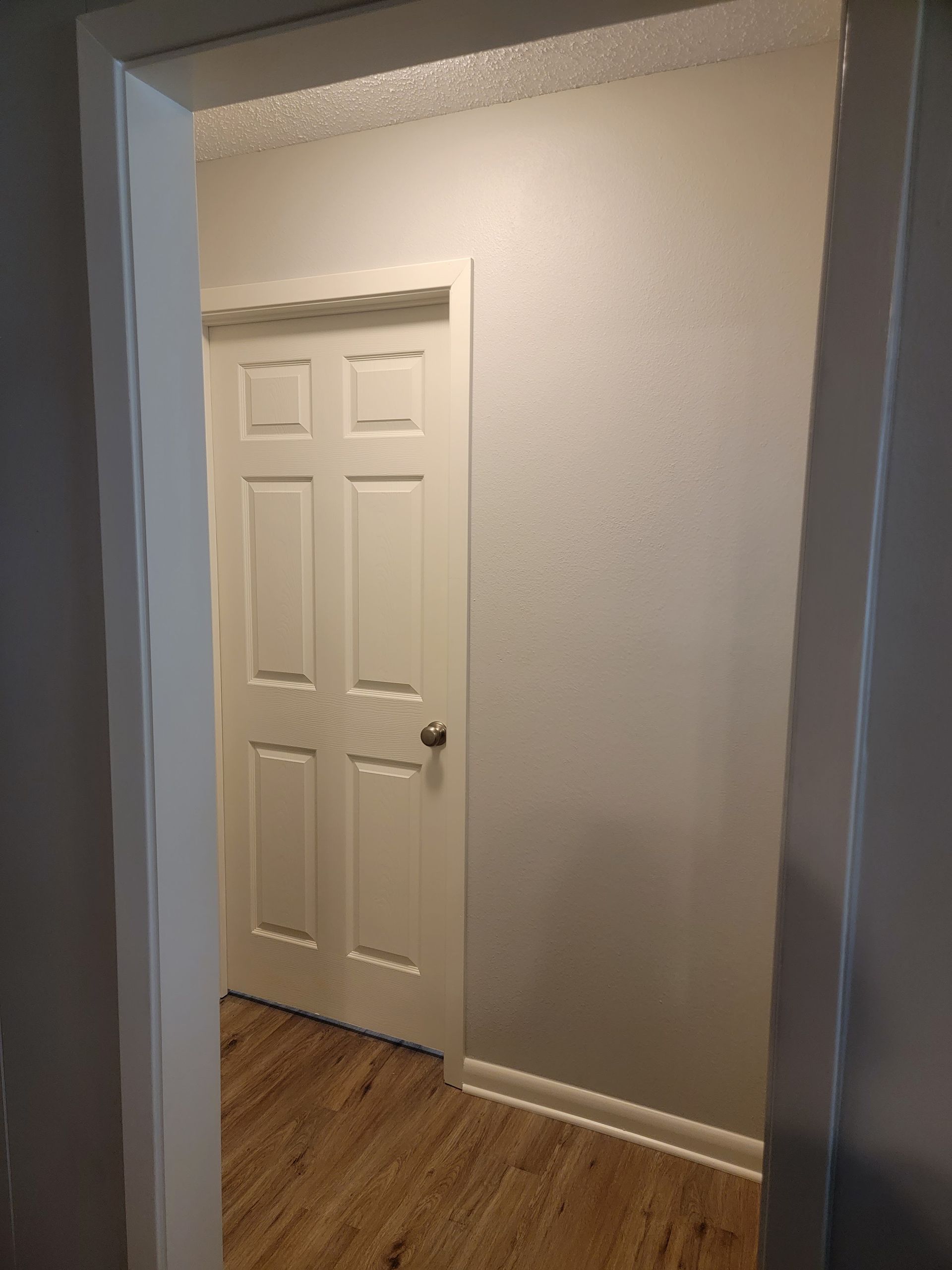 A view from a doorway looking into a room with light grey walls, white trim, wood-look flooring, and a white six-panel door.