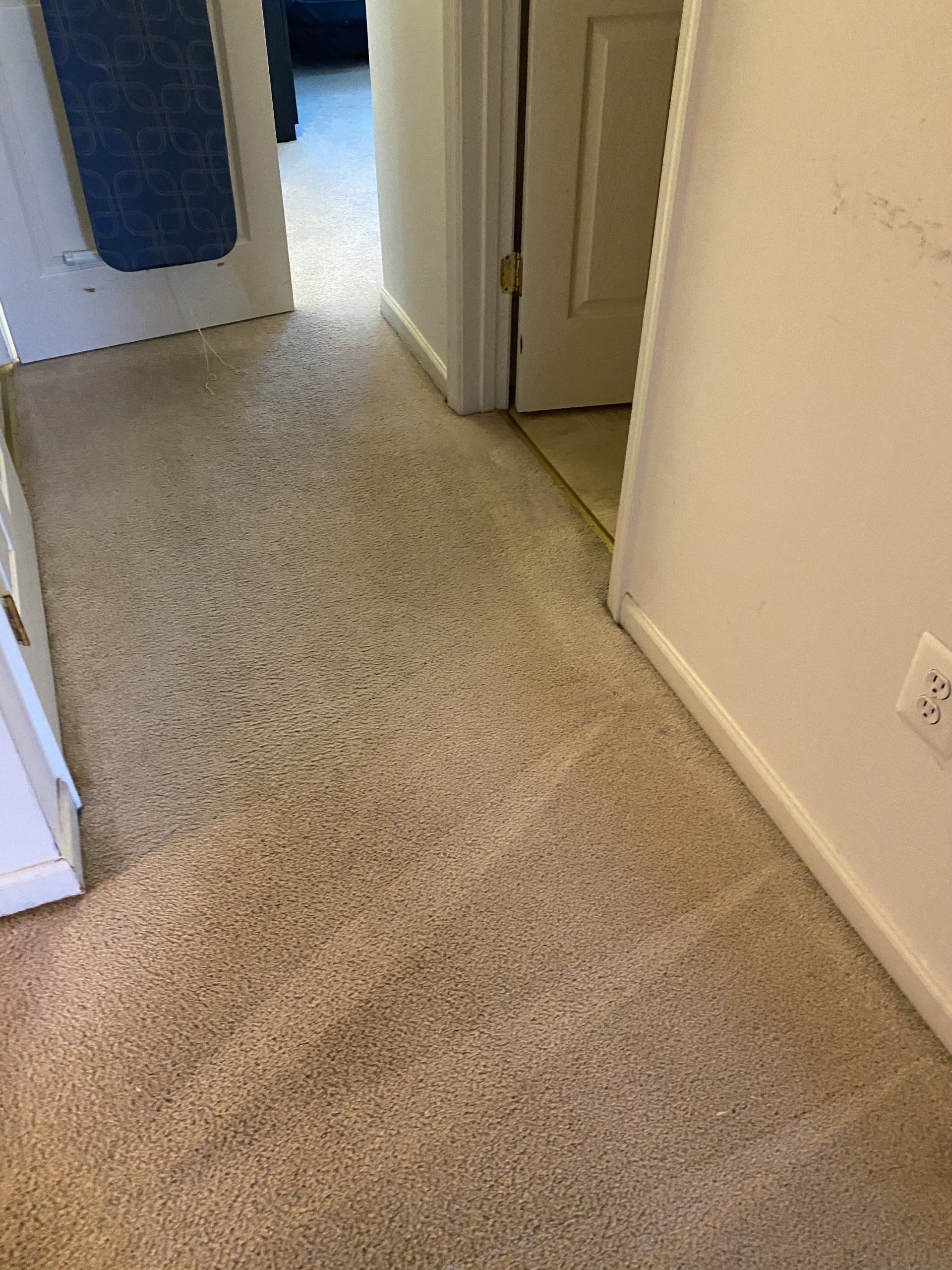 Graft Patching After — Germantown, MD — Father & Son Carpet Cleaning & Repair