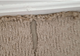 Graft Patching Before — Germantown, MD — Father & Son Carpet Cleaning & Repair