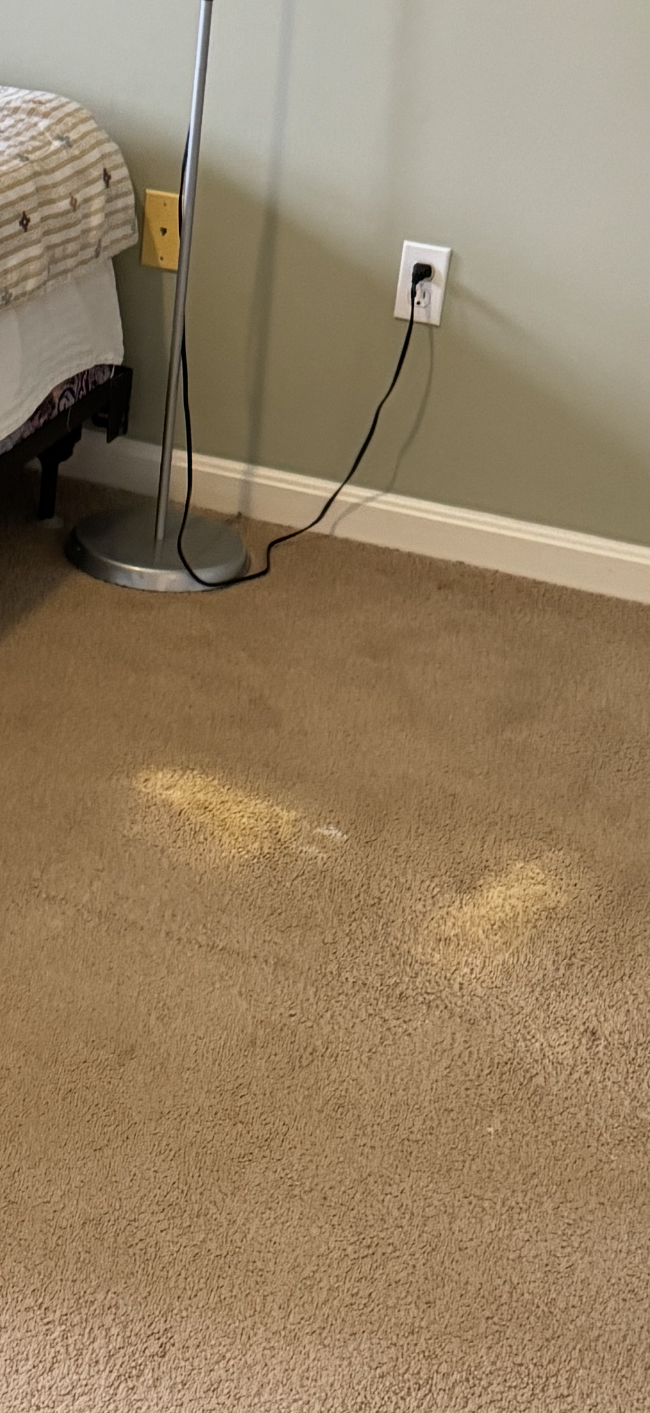 Graft Patching Before — Germantown, MD — Father & Son Carpet Cleaning & Repair
