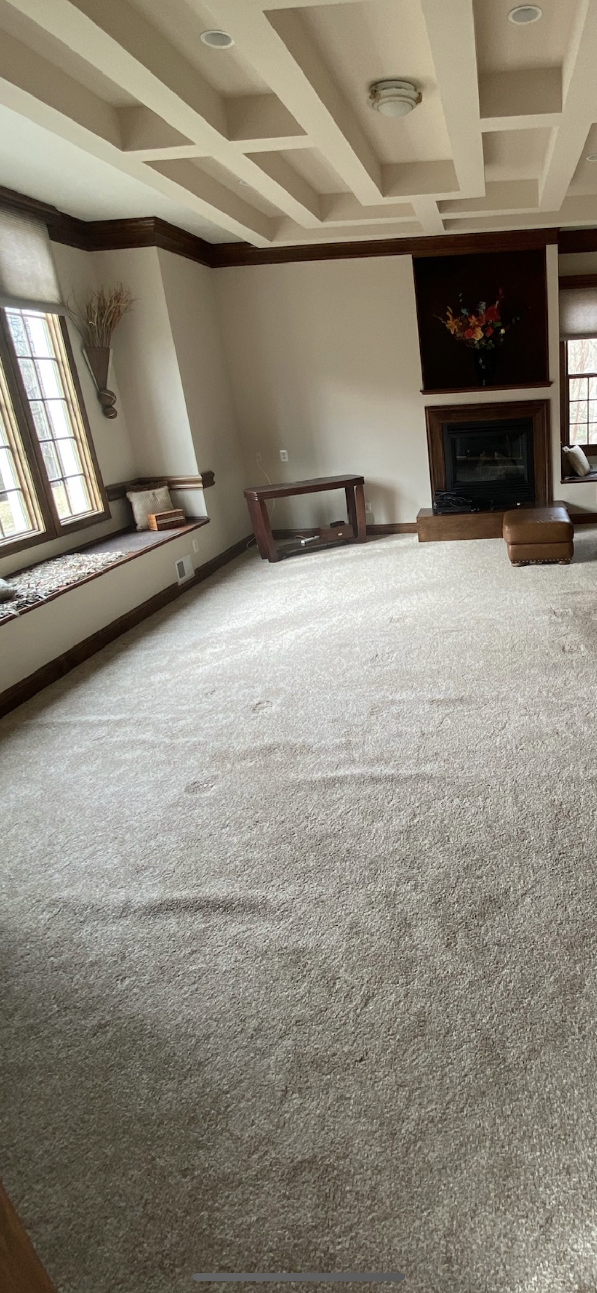 Interior of a living room with a fireplace, window seating, and a decorative ceiling.