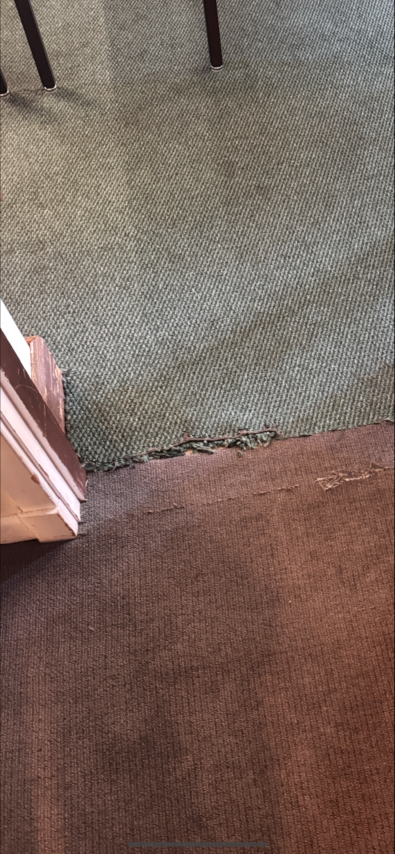 Corner of a room with two different colored carpets, a green carpet and a brown carpet. A door frame is on the left.
