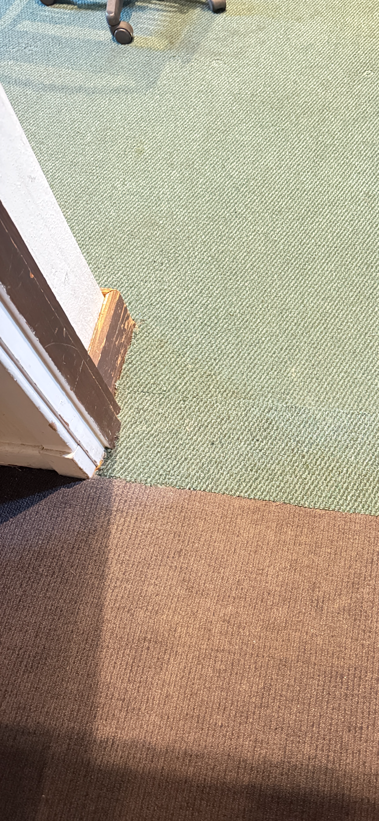 Rolled red and navy carpet with fringed edges on a gray surface.