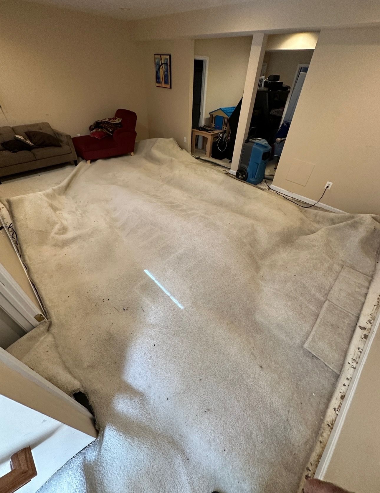 A living room with a lot of carpet on the floor.