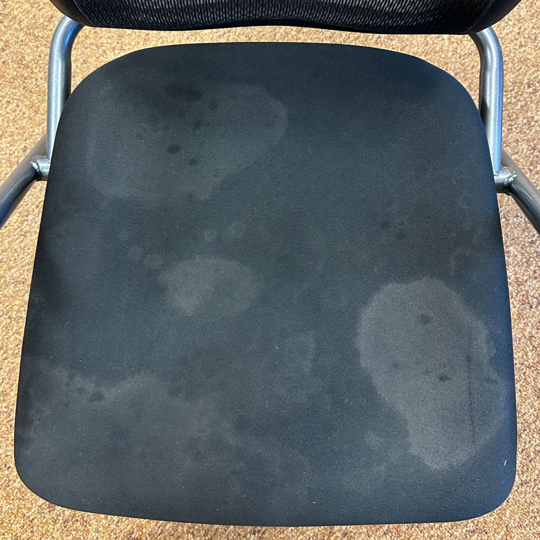 Graft Patching Before — Germantown, MD — Father & Son Carpet Cleaning & Repair