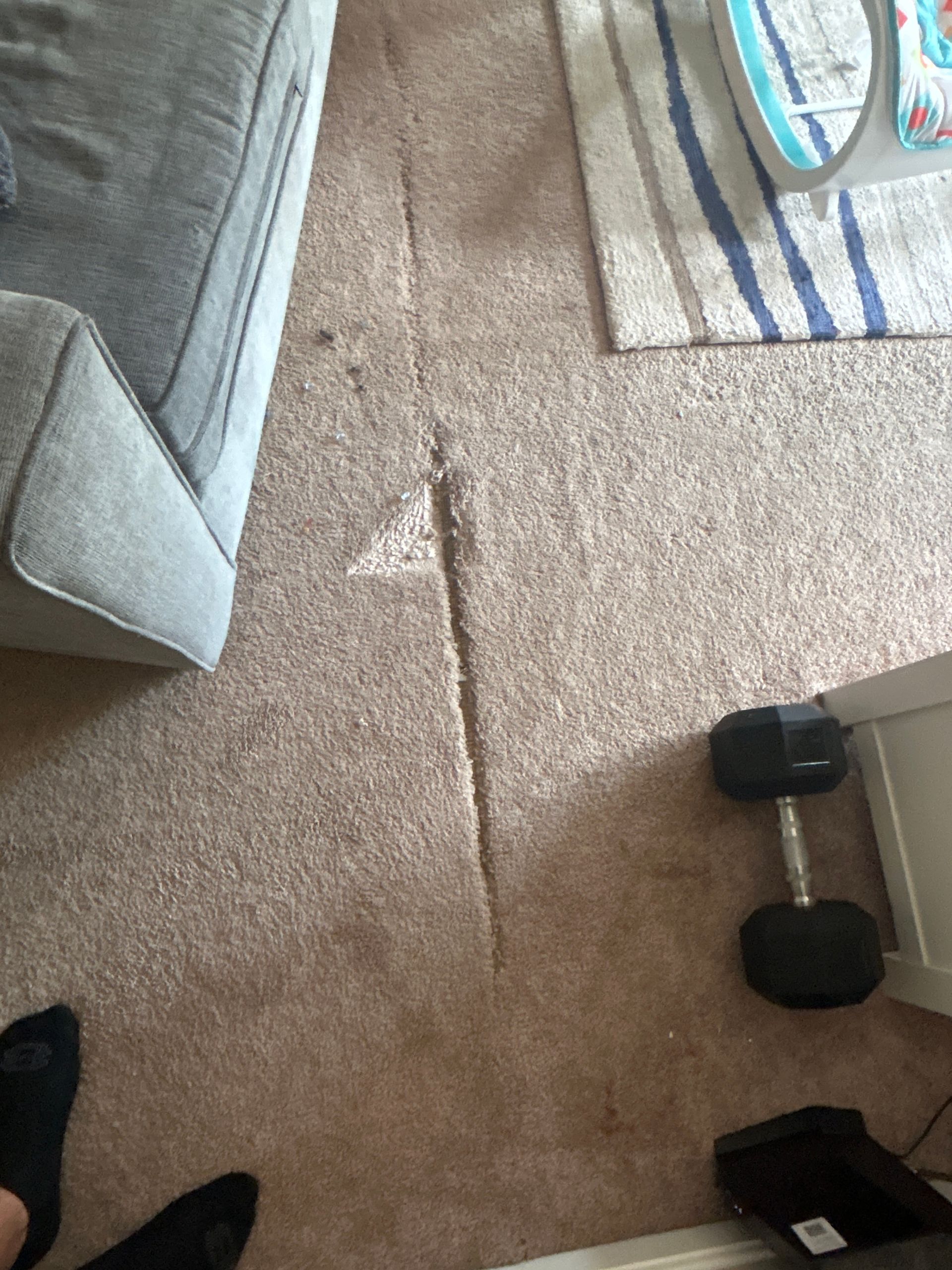Beige carpet with a long tear. A couch, rug, and dumbbell are also present.