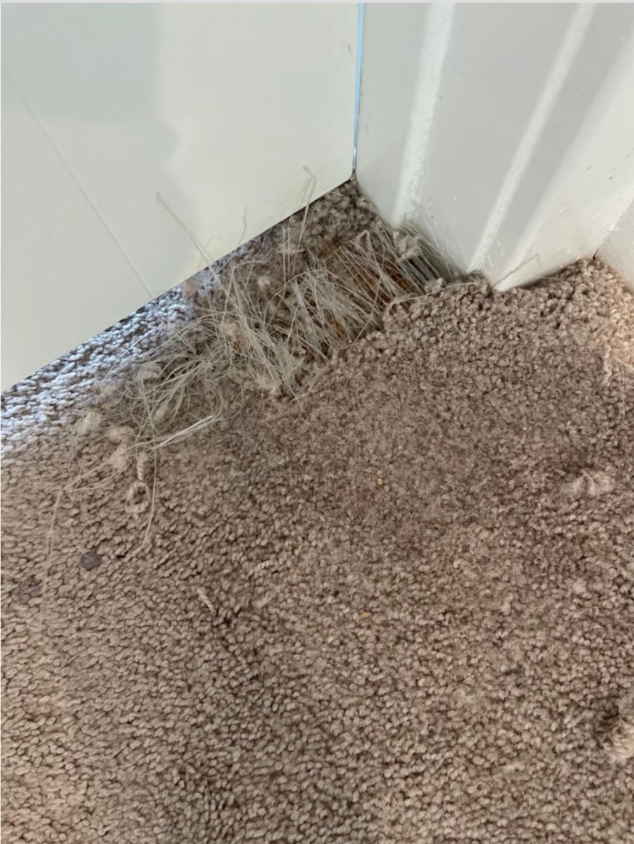 Interior of a living room with a fireplace, window seating, and a decorative ceiling.