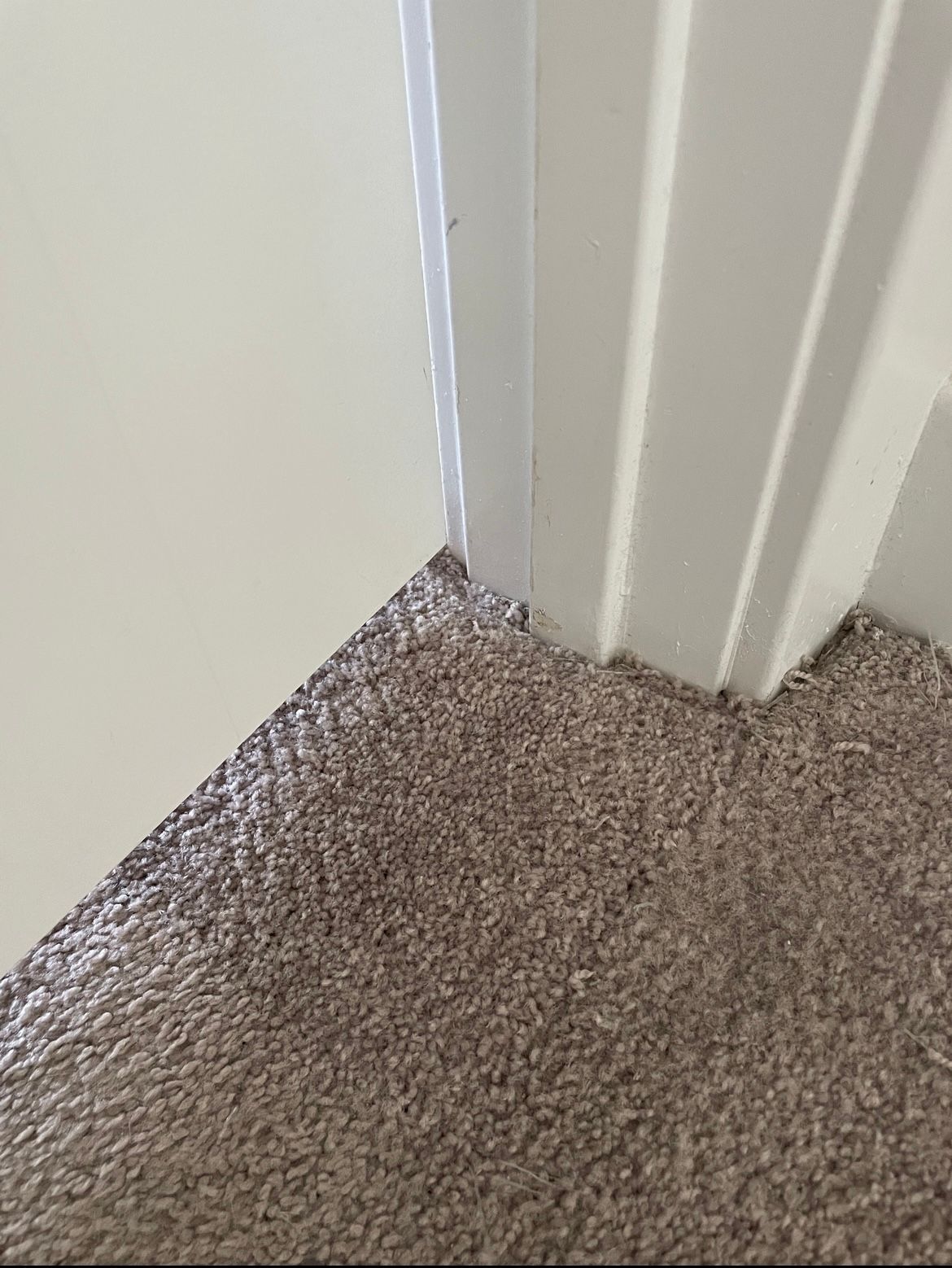 Corner of a room with a white door and trim, and brown carpet.