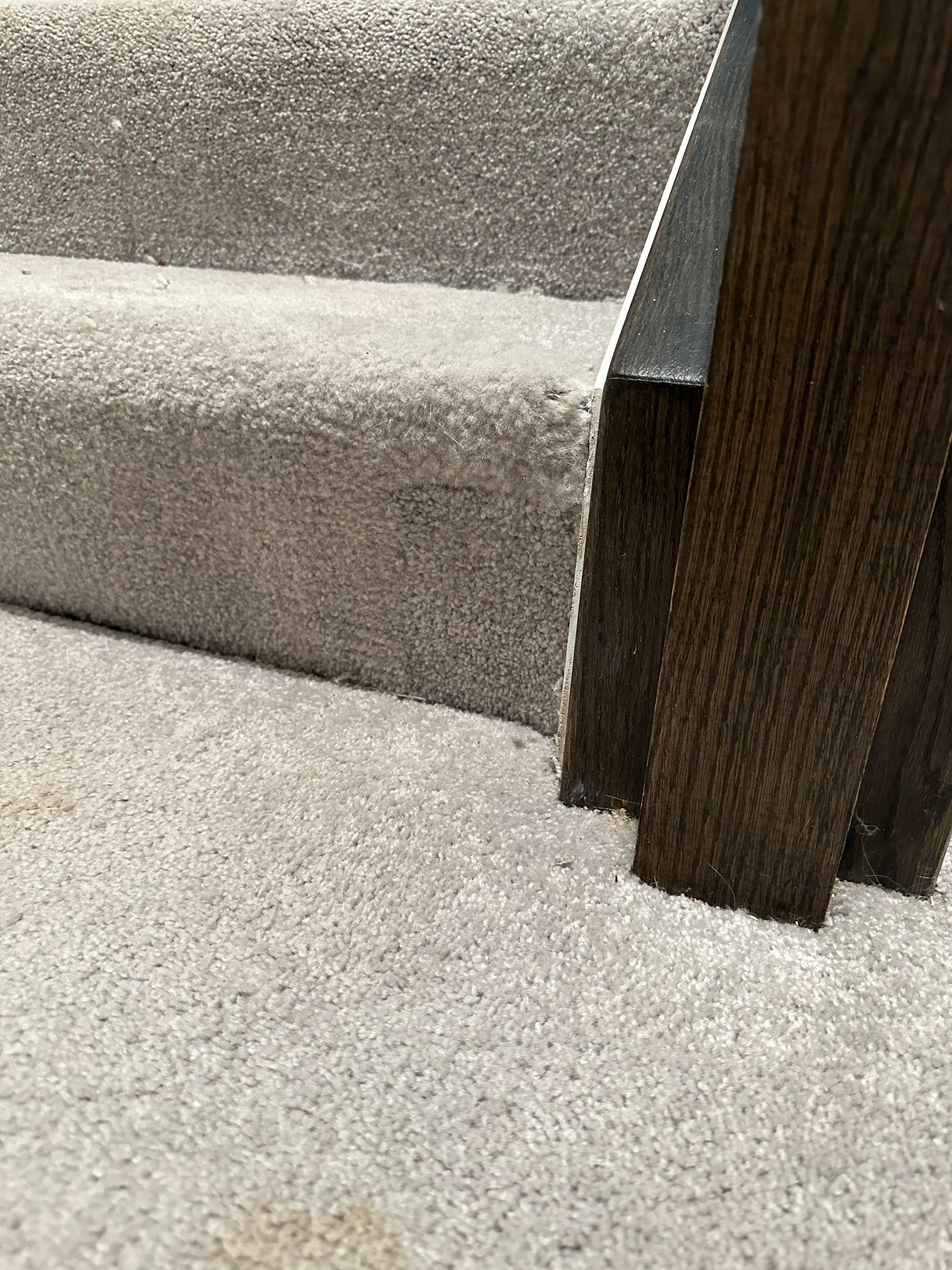 Gray carpeted staircase with wood railing.