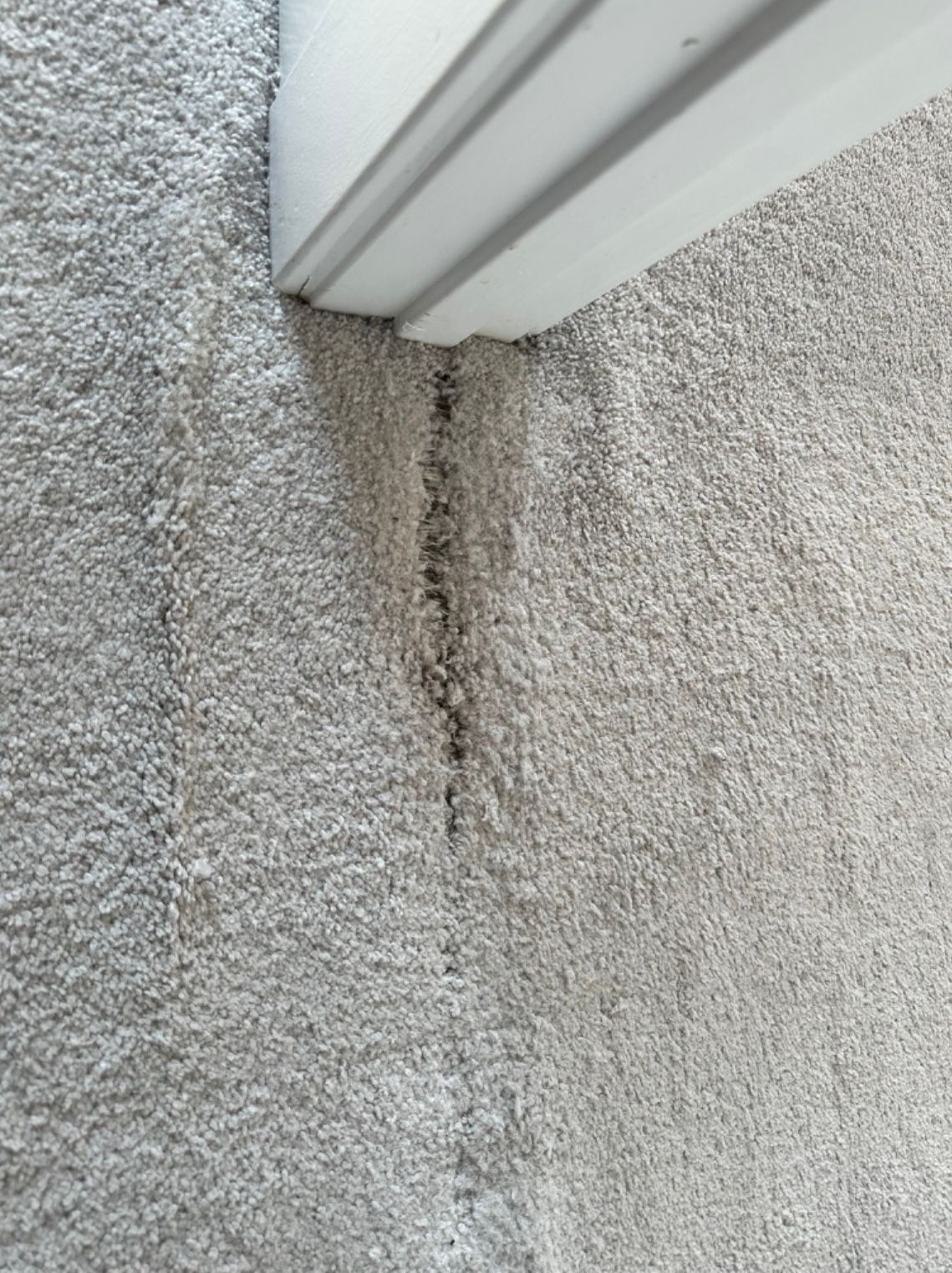 Light gray carpet meets a white door frame; a dark stain runs along the carpet's edge.