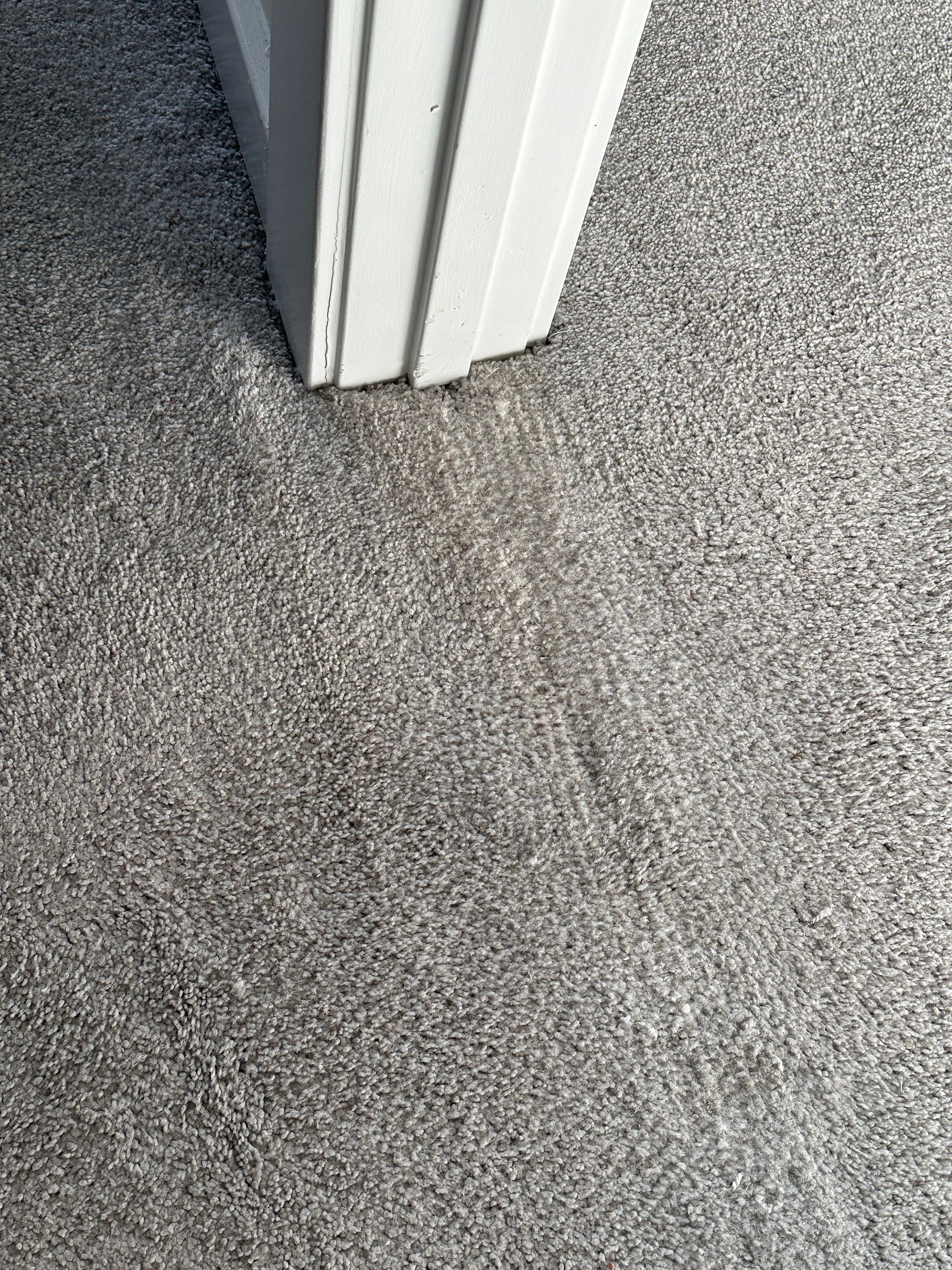 Gray carpet meets a white door frame. The carpet fibers are slightly compressed.