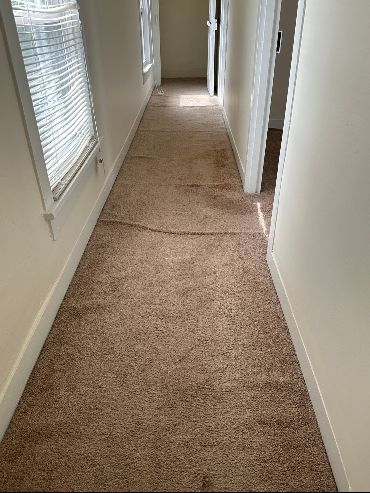 Narrow hallway with tan carpet, a window, and doorways.