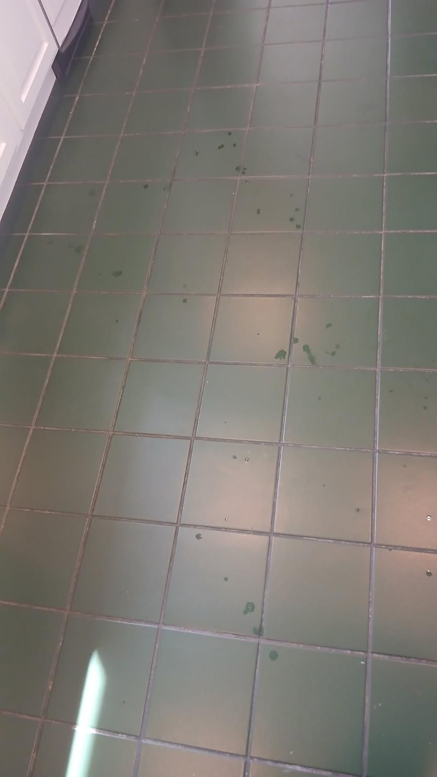 A living room with a lot of carpet on the floor.