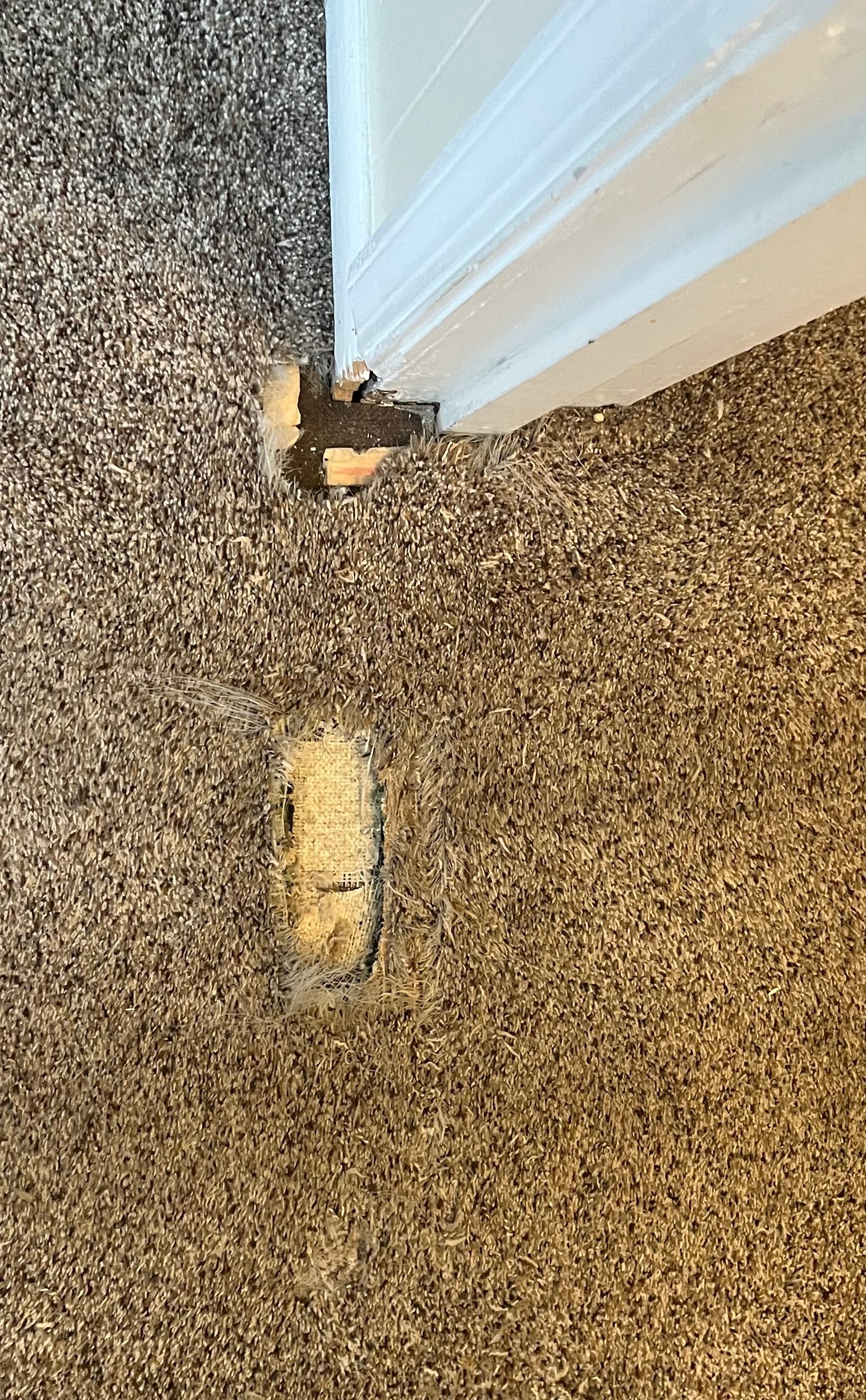 Person vacuuming a cream-colored couch cushion. They are wearing a black shirt and khaki pants.