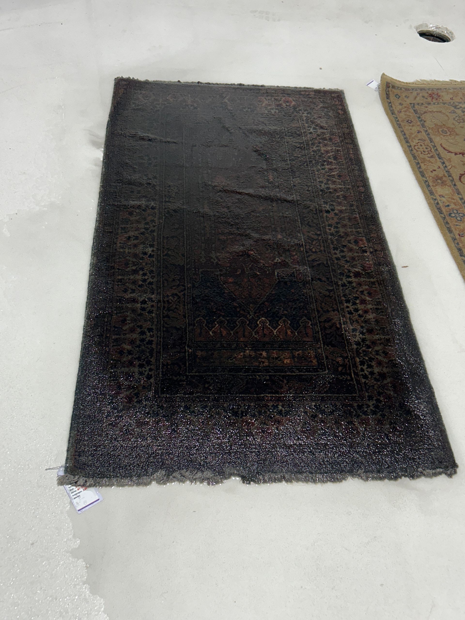 Before Rug Cleaning Service Germantown MD
