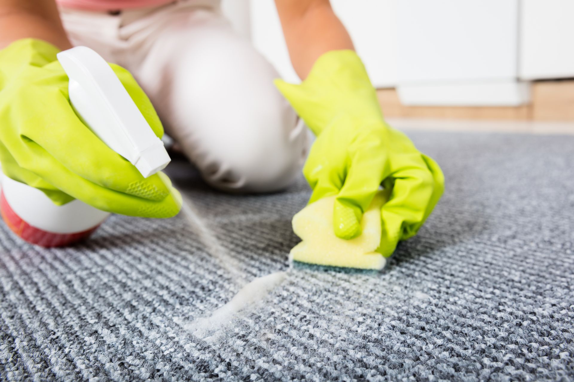 Person cleaning a carpet.