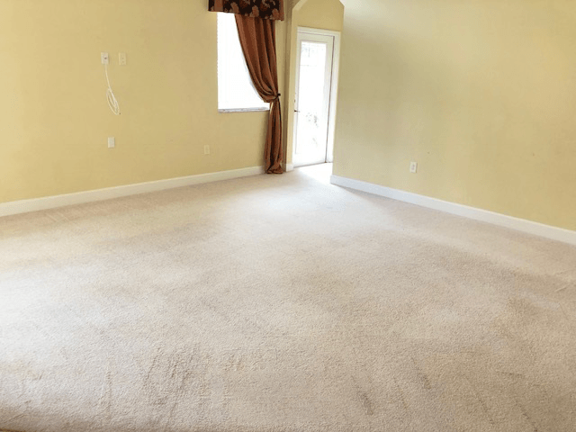 Carpet Dying After — Germantown, MD — Father & Son Carpet Cleaning & Repair