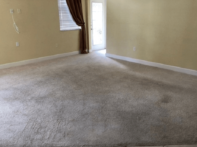 Carpet Dying Before — Germantown, MD — Father & Son Carpet Cleaning & Repair