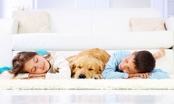 Kids With Their Dog — Germantown, MD — Father & Son Carpet Cleaning & Repair