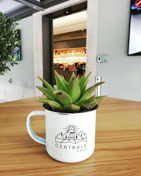 tazza con logo del bar