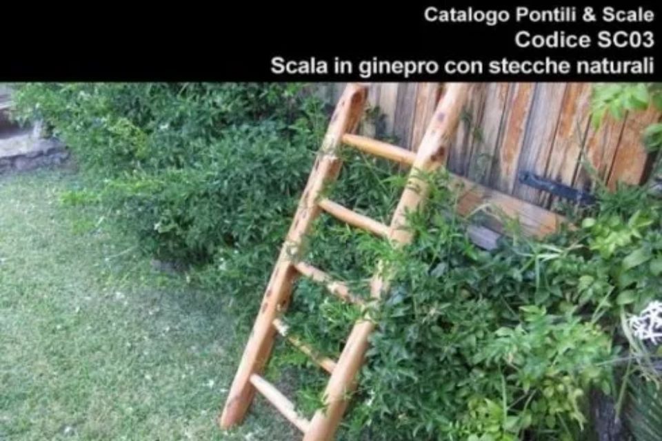 Scala in ginepro