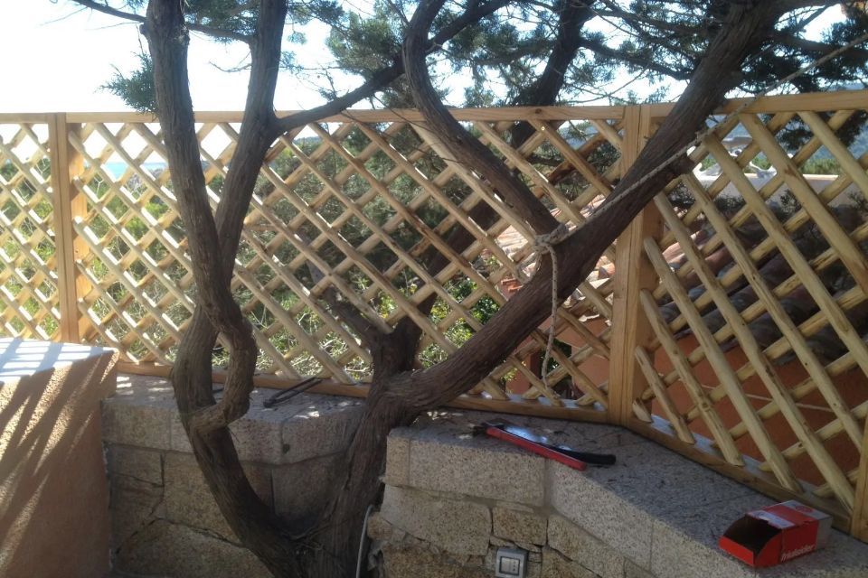 Grata in essenze garantite