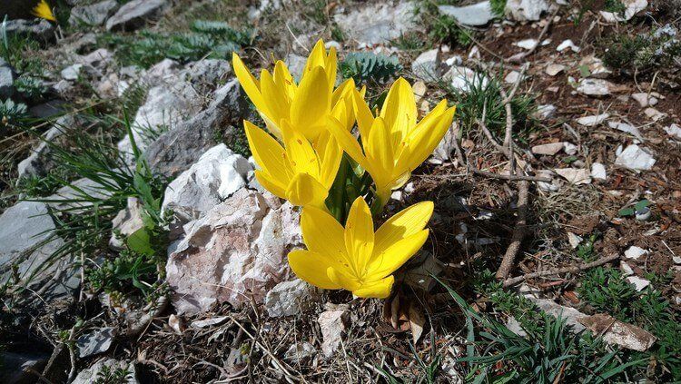 Ceļojums pa Balkāniem