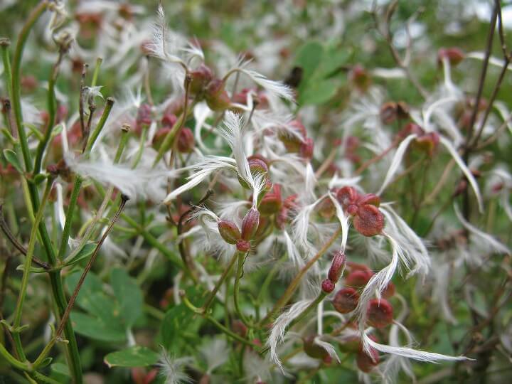 Ceļojums pa Balkāniem